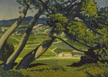 Bomen, Provence, 1912
